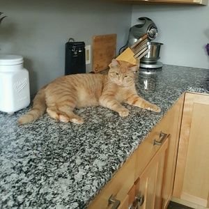 Meet your Posher, Melody